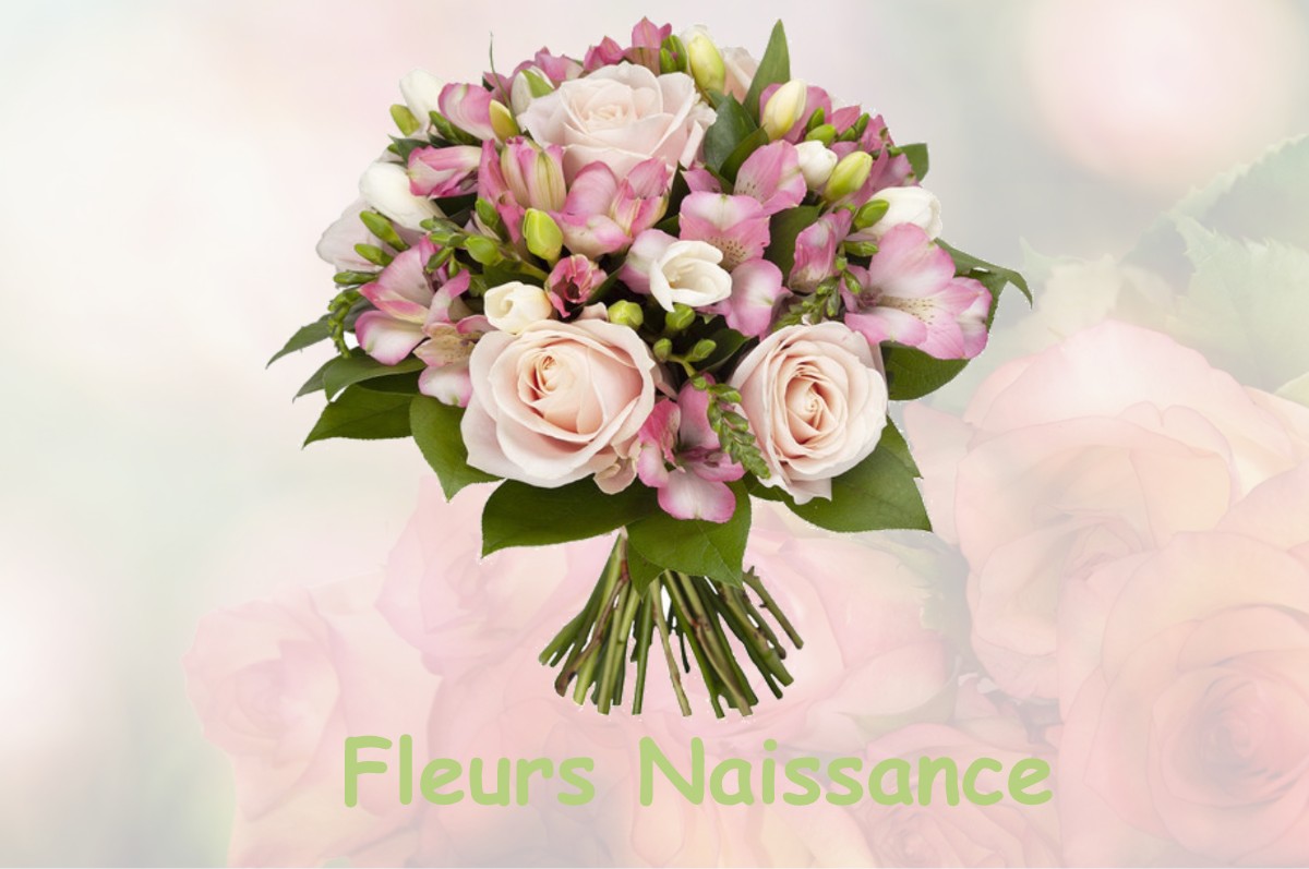 fleurs naissance FAUX-FRESNAY